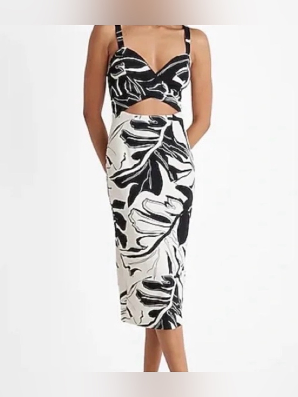 Express Black & White Floral Dress